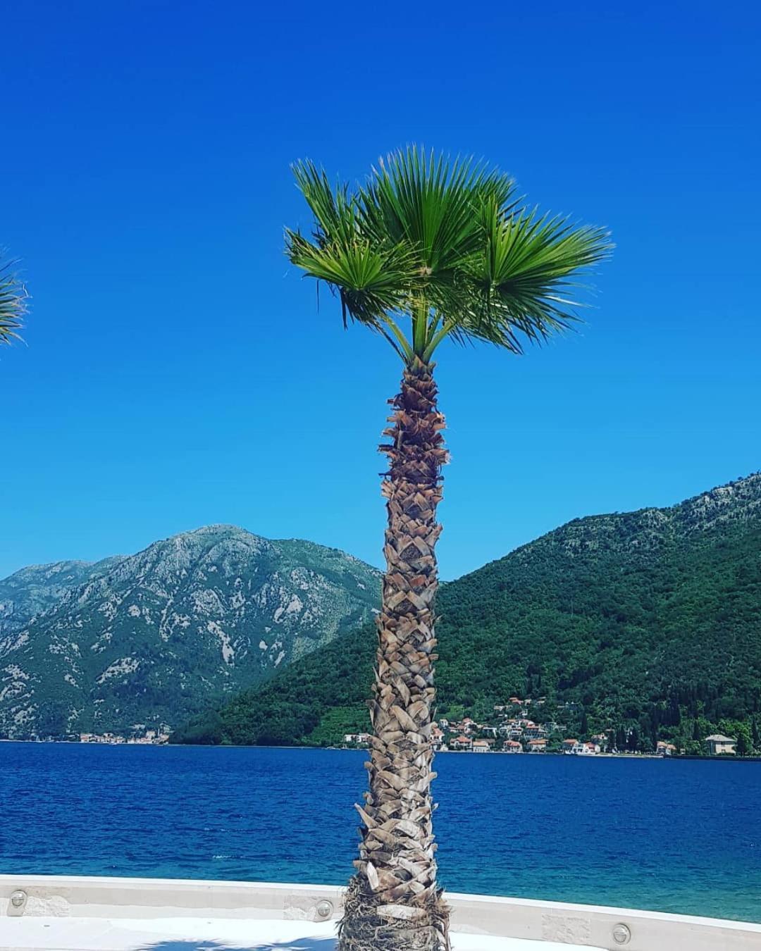 Apartman Taraca Villa Knezevic Herceg Novi Zimmer foto